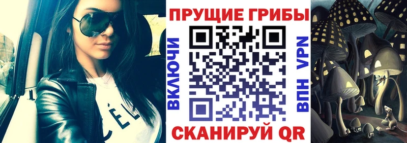 Купить закладки  Черемхово  Галлюциногенные грибы мухоморы 